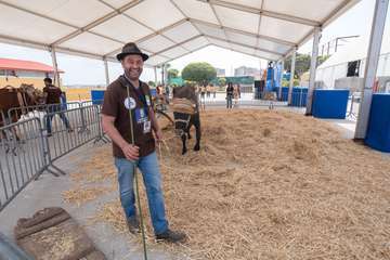 Inauguración de la Feria Gran Canaria Me Gusta (Foto TA)